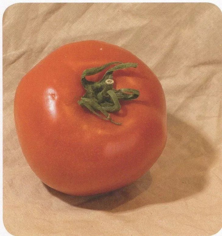 武汉美术培训：色彩单体之西红柿的归纳与刻画图解